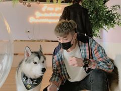 -Husky Go! 哈士奇体验馆·宠物咖啡厅狗咖