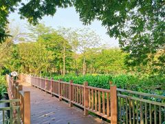 -松山湖南湖湾露营营地