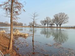 -苏州太湖湖滨国家湿地公园