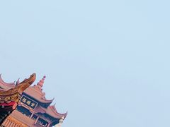 -一只酸奶牛(八一路店)