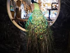 -雀蓝川菜(奥体广场店)