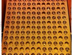 -西西弗书店(城西银泰城店)