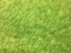 -深亚石油加油站(宝安大道店)