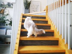 -隹木咖啡馆(宝龙广场店)