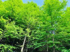 -苏州太湖国家湿地公园