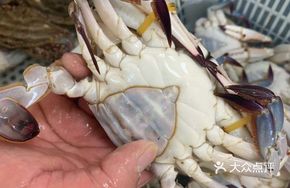 Triangle Crab