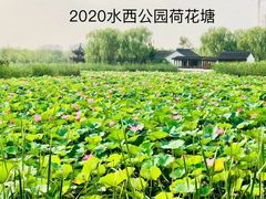-水西公园