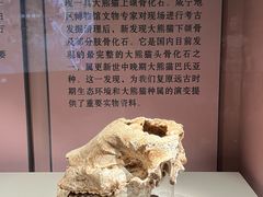 -咸宁市博物馆