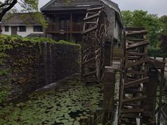 -江苏三台山国家森林公园