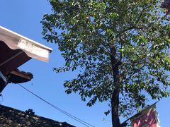 -周血旺老店