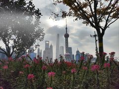 -北外滩滨江绿地