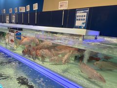 -盒马X会员店(上海森兰商都店)
