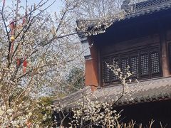 -钱王祠