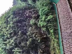 -阿依河景区