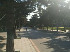 -东北大学(南湖校区)