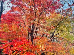 -丹东天桥沟景区