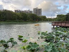-新江湾城公园