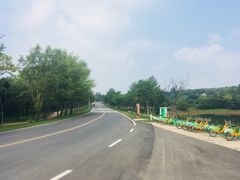 -汤山温泉房车营地 茶温泉