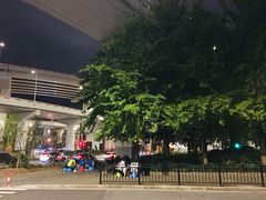 -新疆阿力烧烤