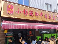-小杨翘脚牛肉