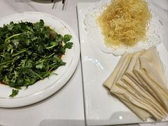 -丁老爷子苏香圆