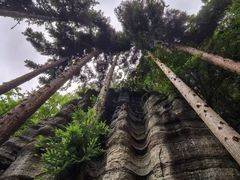 -梭布垭石林景区