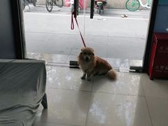 -申普宠物医院·眼科·心内科·影像科(普陀分院)