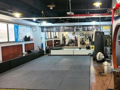-温鉴良实用咏春拳