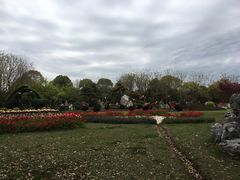 -上海鲜花港