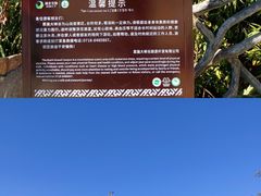 -恩施大峡谷