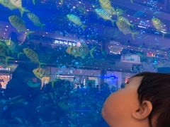 -成都浩海立方海洋公园