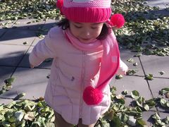 -腾翔乒乓球培训(亚运村店)