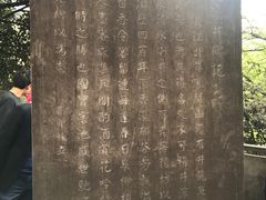 -泸州老窖景区