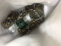 -七的湖·晚芳亭·阳澄湖农家菜·大闸蟹(莲花岛店)