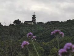 -苏州上方山国家森林公园