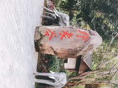 -野象谷景区