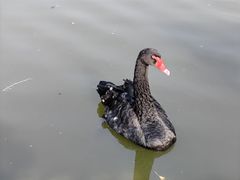 -静之湖度假区