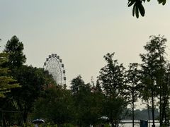 -飞来湖湿地公园