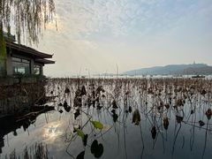 -湖畔居茶楼(湖滨店)