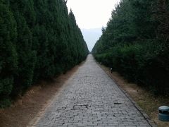 -秦始皇帝陵博物院-丽山园