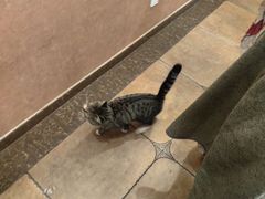 -天毓山庄·餐厅