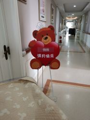 -武汉玛丽亚月子中心