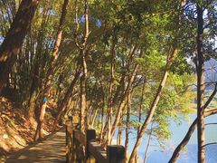 -广州市流溪河国家森林公园