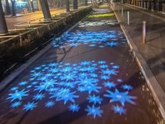 -三里屯东五街银杏大道