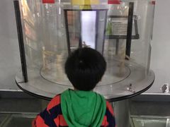 -陕西自然博物馆