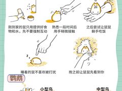 -守诺宠物医院·眼科· 特色牙科·异宠专科(虹口店)