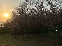 -蜀冈西峰生态公园