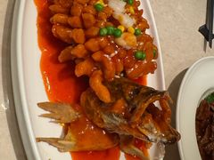 -老吉士酒家(天平路店)