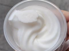 -洪馨椰子