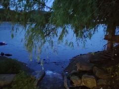 -宁波九龙湖开元度假村